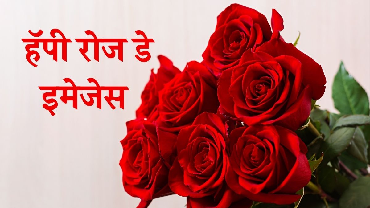 हॅपी रोज डे इमेजेस मराठी, Happy Rose Day Images In Marathi