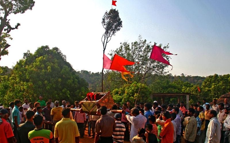 Shimagotsavail Holi Ubhi Karatana Bhavik, शिमगोत्सवातील होळी उभी करताना भाविक