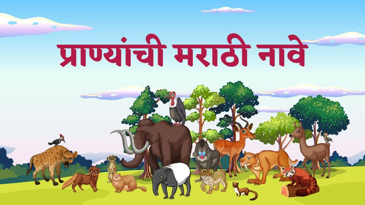 Animal Names in Marathi