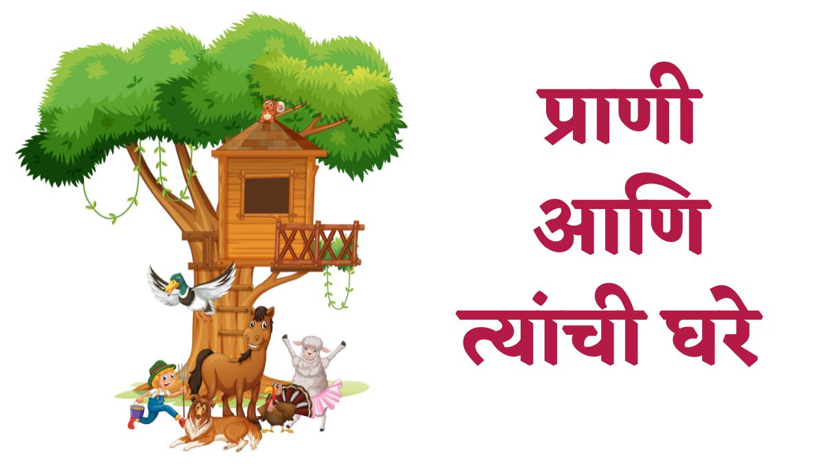 प्राणी आणि त्यांची घरे, Animals and Their Homes in Marathi